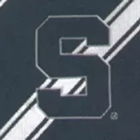 MSU Spartans Woven Poly 1 Tie