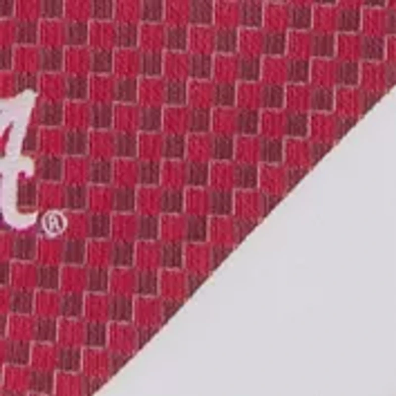 NCAA Alabama Crimson Tide Geo Stripe Tie
