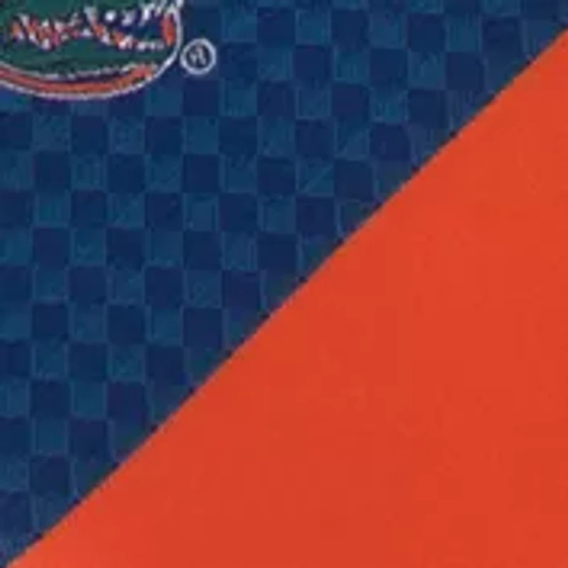 NCAA Florida Gators Geo Stripe Tie