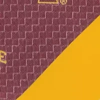 NCAA Iowa State Cyclones Geo Stripe Tie