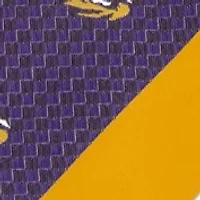 NCAA LSU Tigers Geo Stripe Tie 