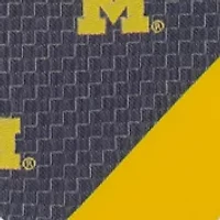 NCAA Michigan Wolverines Geo Stripe Tie 