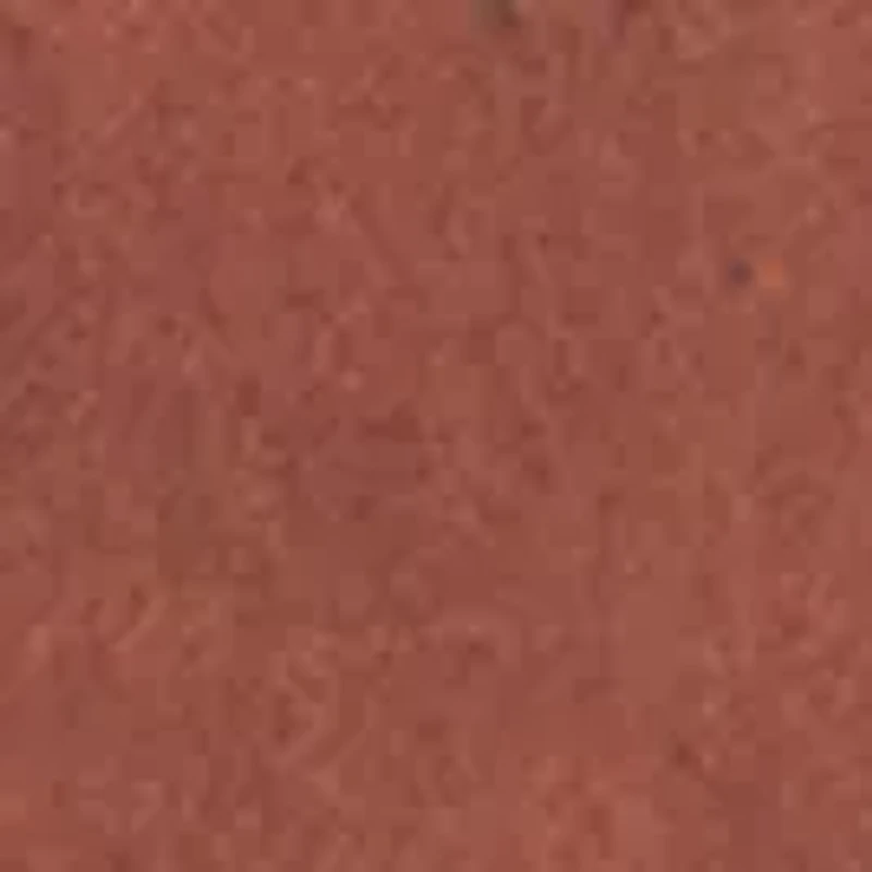 MISS STATE BRANDISH 36