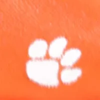 NCAA Clemson Tigers Repeat Bow Tie