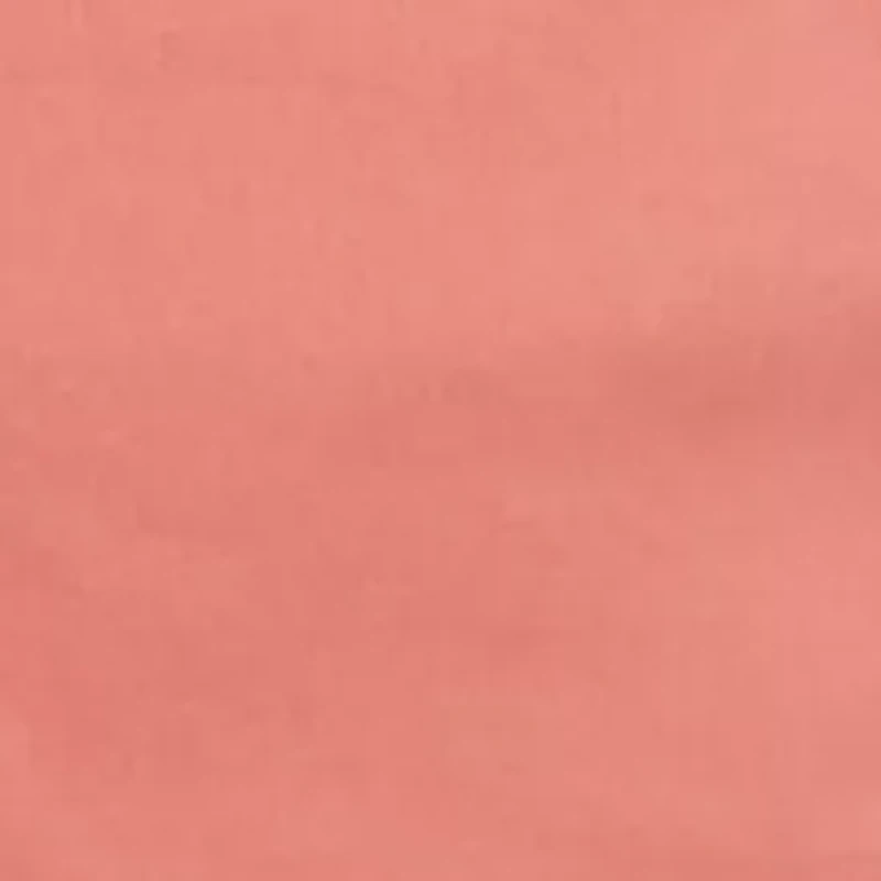 9 Inch Flat Front Shorts