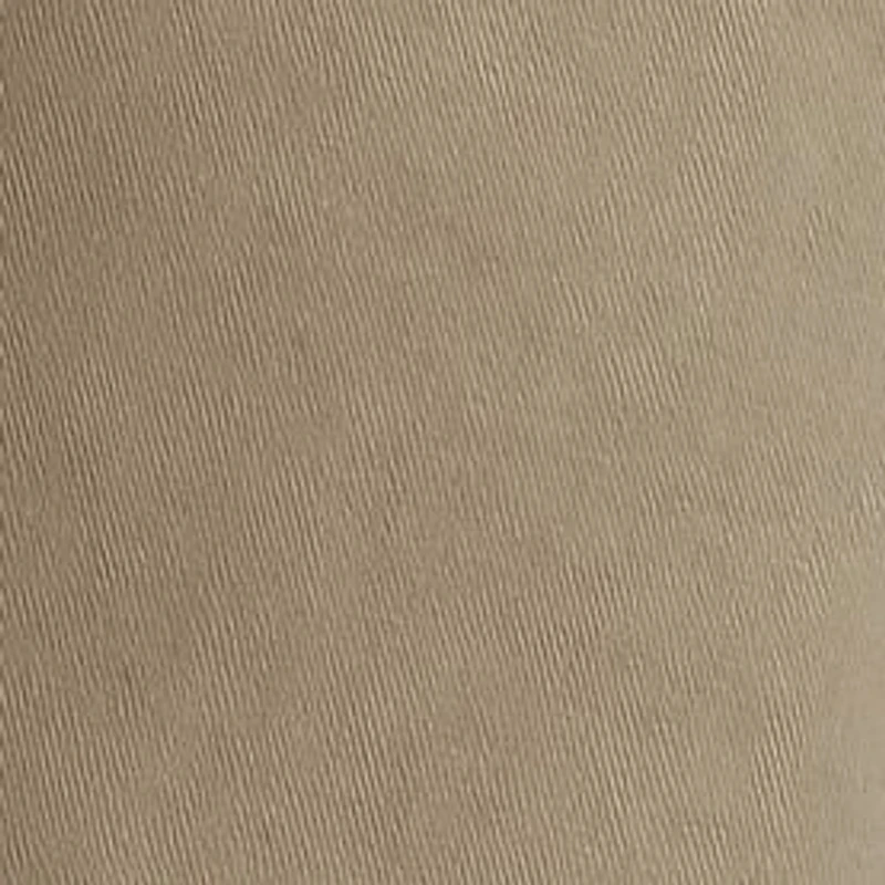 Big & Tall Flat Front Shorts