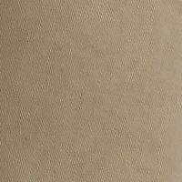 Big & Tall Flat Front Shorts