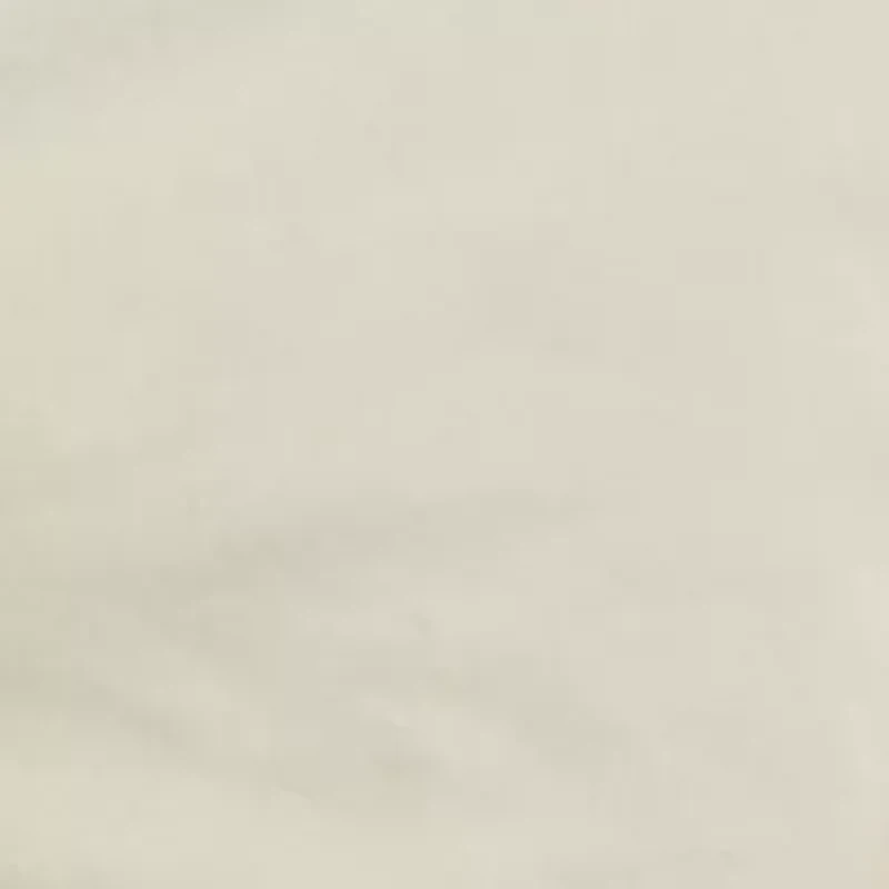 Big & Tall 10" Flat Front Shorts