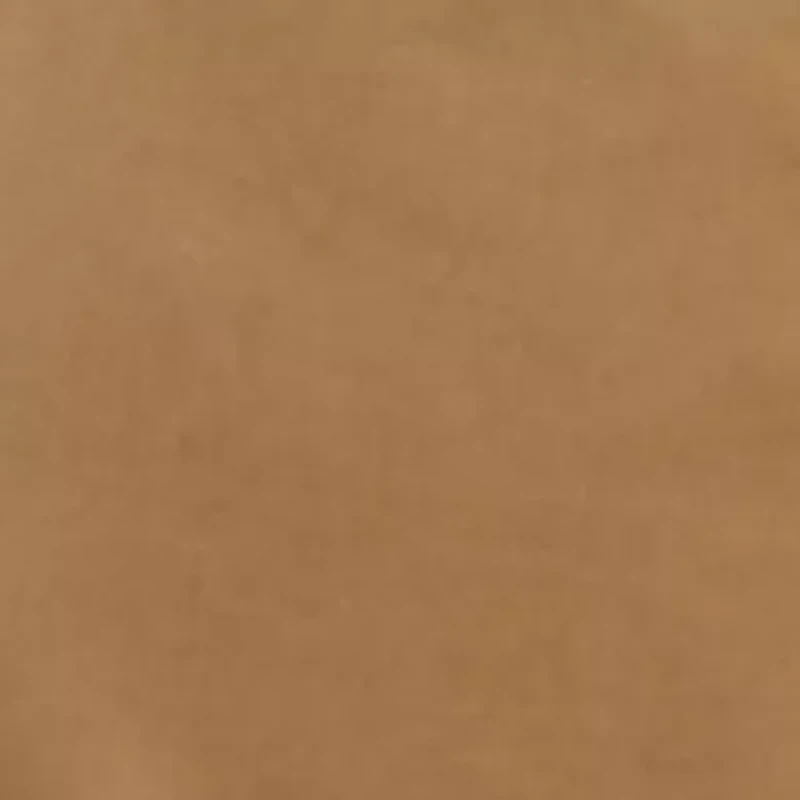 Big & Tall 10" Flat Front Rimpa Shorts