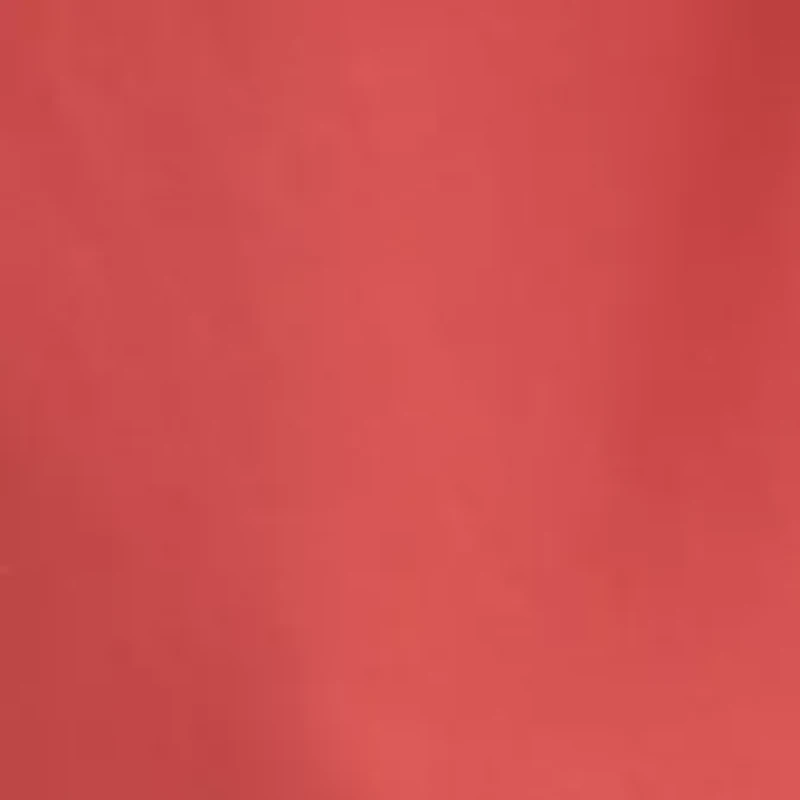 Big & Tall 10" Flat Front Khalo Coral Shorts