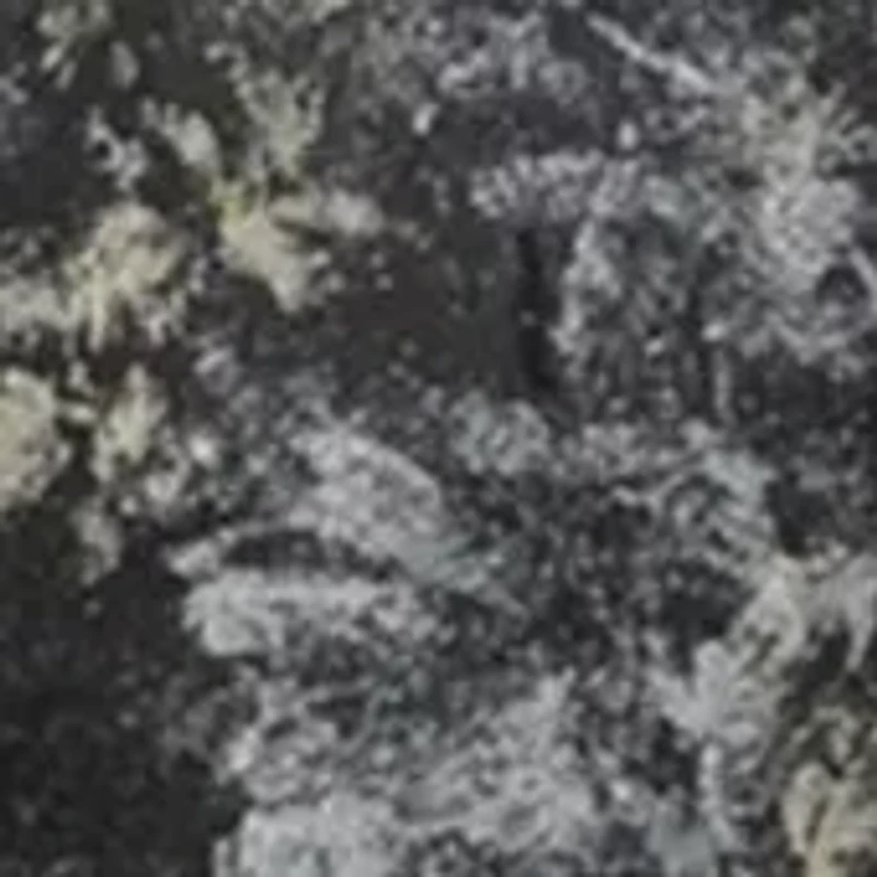 Men's Floral Printed Formal Sportcoat