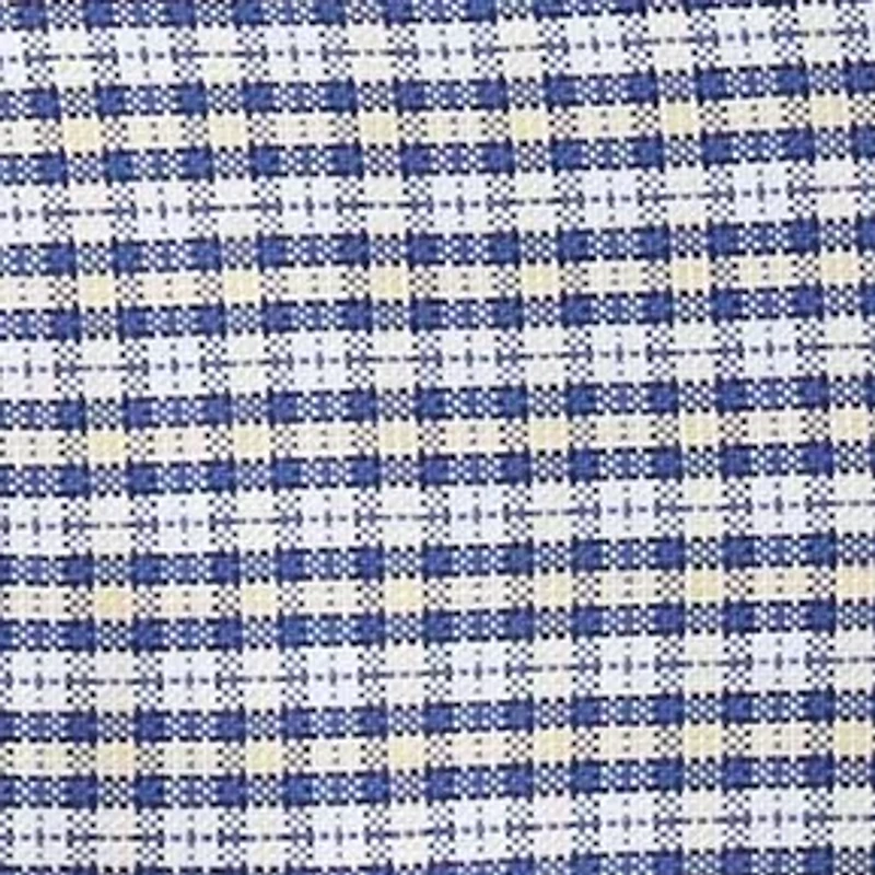 Big & Tall Check Print Shirt