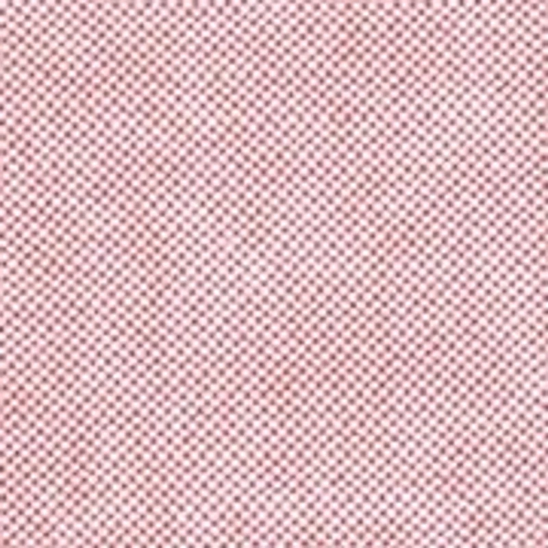 Oxford Button Down Shirt