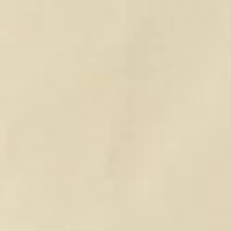 Men's Long Sleeve Button Down Dress Shirt