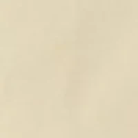 Men's Long Sleeve Button Down Dress Shirt