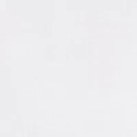 Big & Tall Oxford Shirt