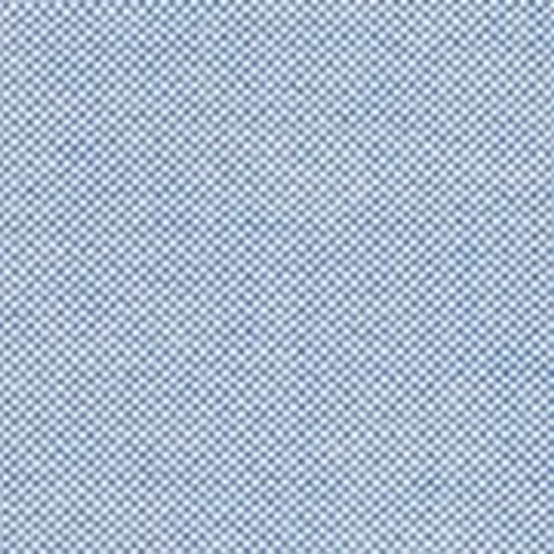 Men's Big Oxford Shirt