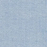 Men's Big Oxford Shirt