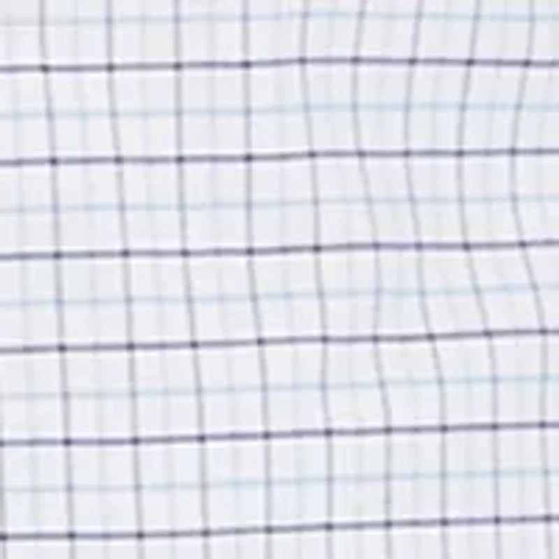 Big & Tall Oxford Shirt