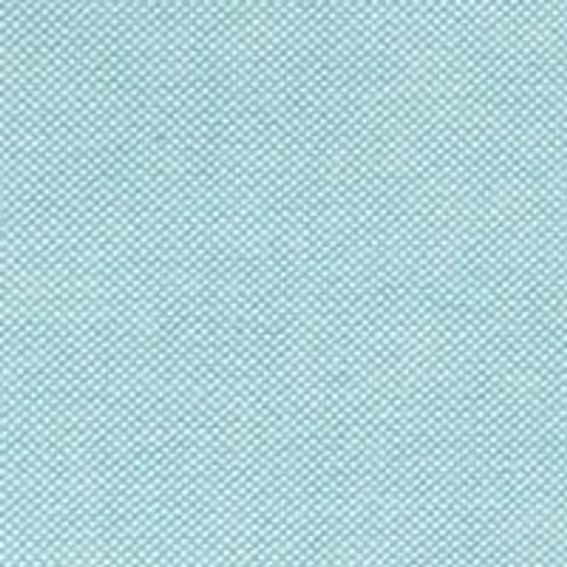 Men's Big Solid Oxford Button Down Shirt