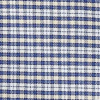 Big & Tall Oxford Button Down Shirt
