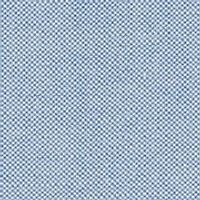 Men's Tall Oxford Shirt
