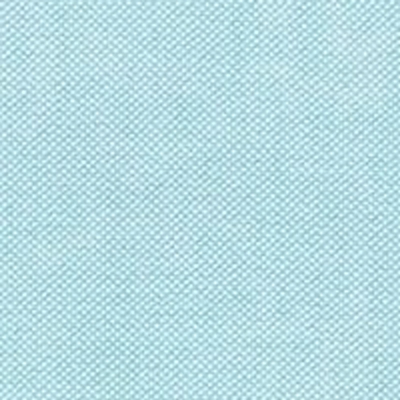 Big & Tall Solid Oxford Shirt