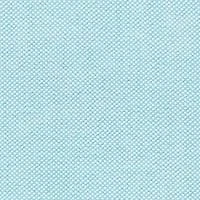 Big & Tall Solid Oxford Shirt