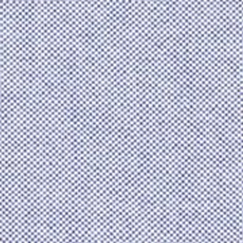 Big & Tall Button Down Collar Oxford Shirt