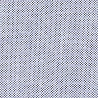 Big & Tall Button Down Collar Oxford Shirt