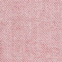 Men's Tall Solid Oxford Shirt