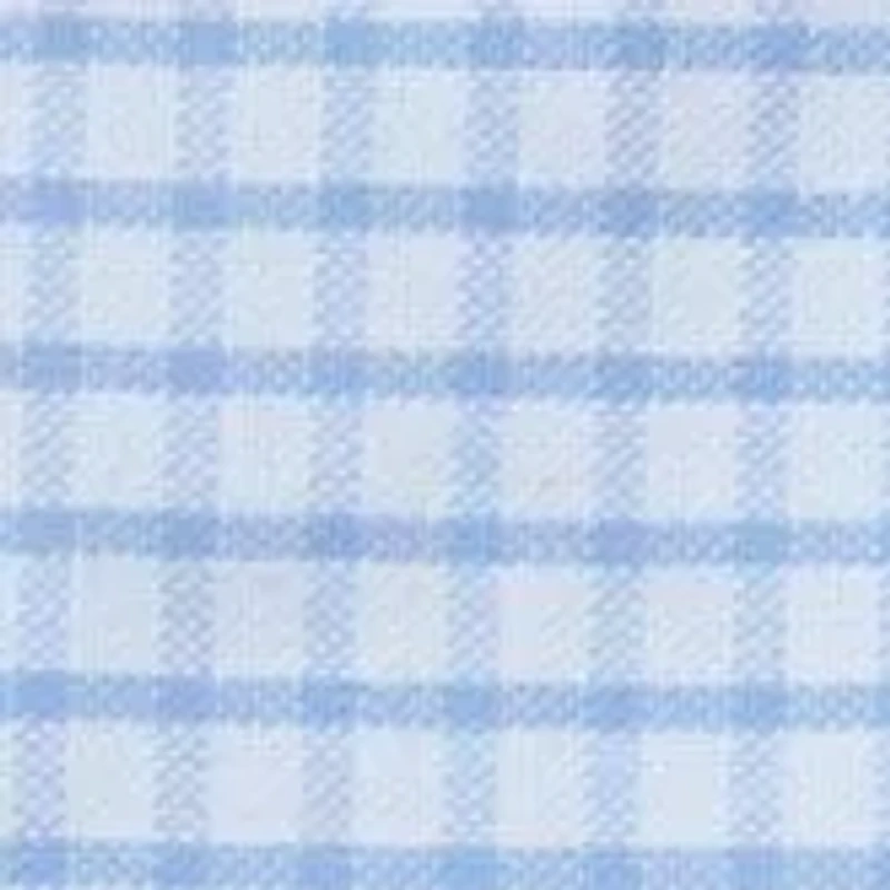 Big & Tall Plaid Oxford Shirt