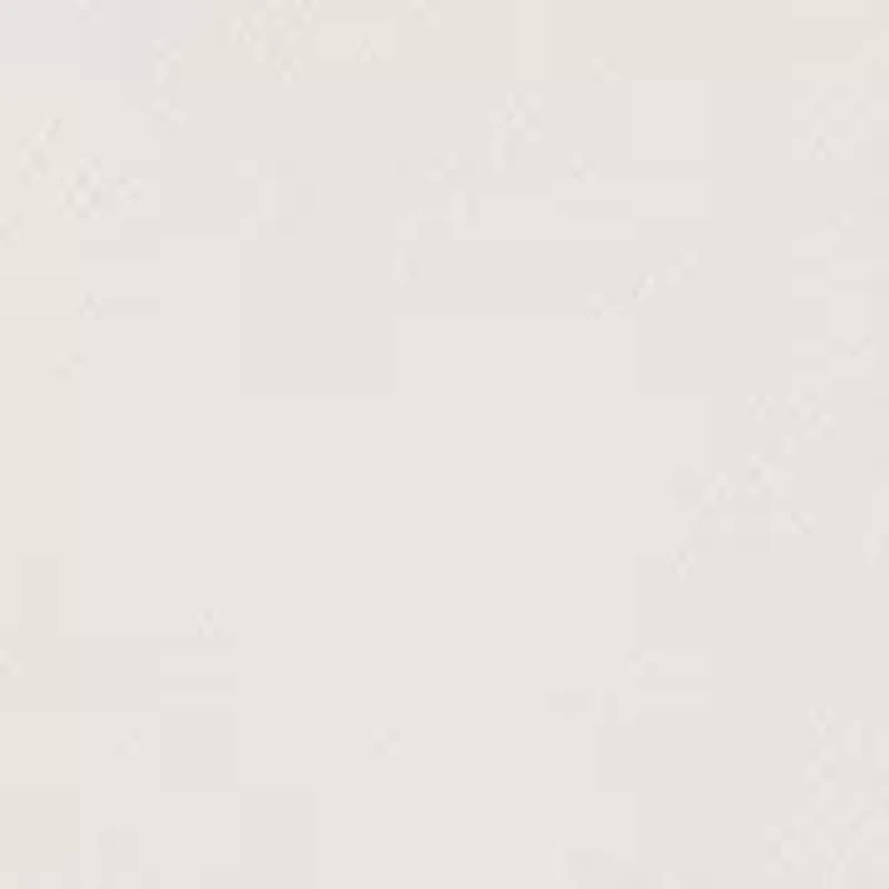 Big & Tall Twill Performance Dress Shirt