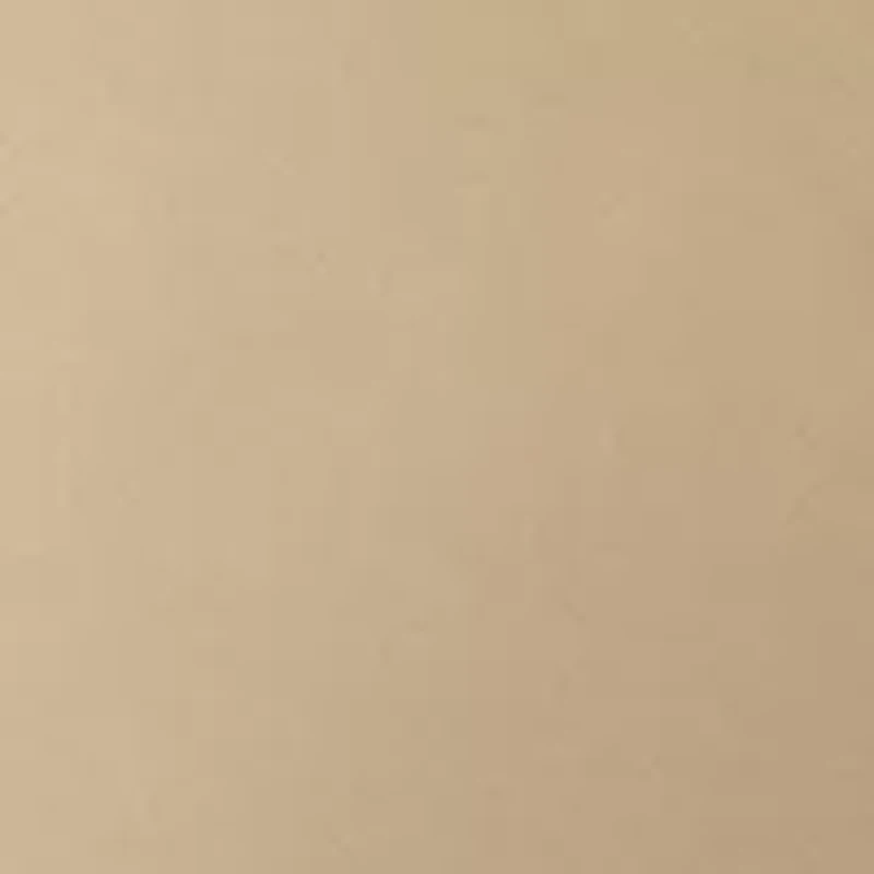 Big & Tall Twill Performance Dress Shirt