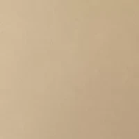 Big & Tall Twill Performance Dress Shirt