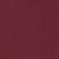 Big & Tall Fashion Shirt and Tie Box Set