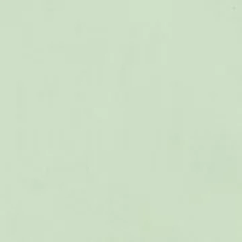 Men's Big Button Down Shirt and Tie Set