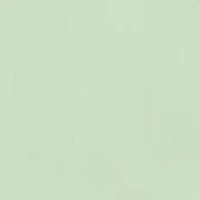 Men's Big Button Down Shirt and Tie Set