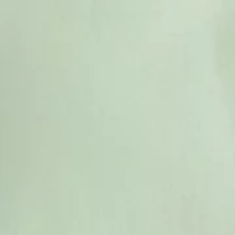 Solid Shirt and Striped Tie Set