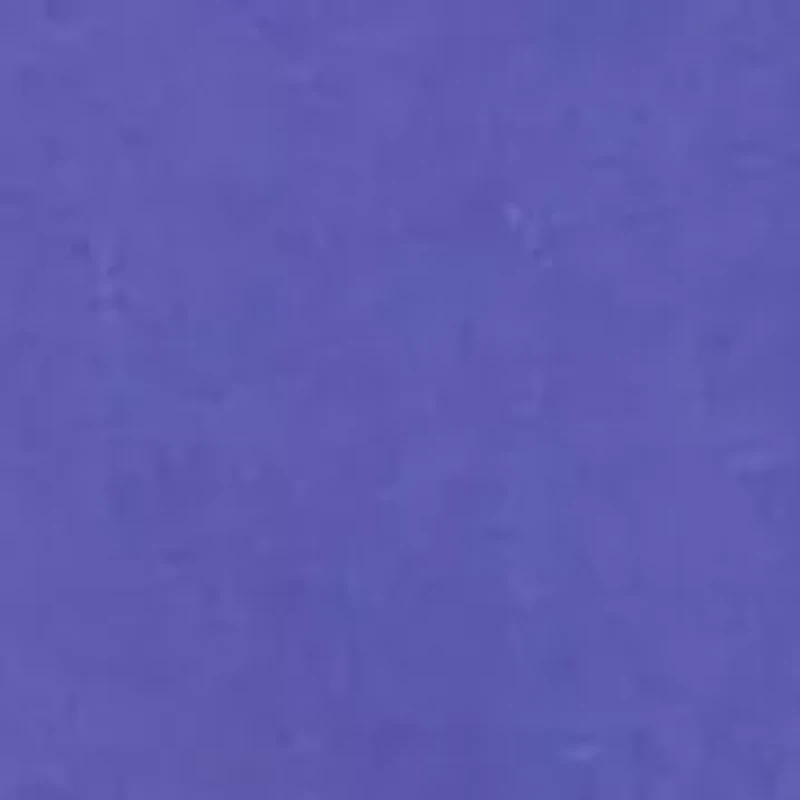 Point Collar Solid Button Down Shirt