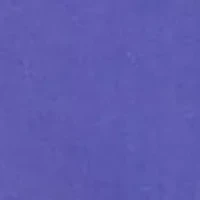 Point Collar Solid Button Down Shirt