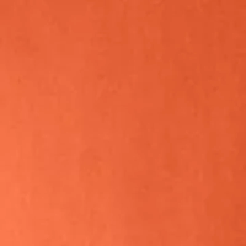 Rust Orange Dress Shirt