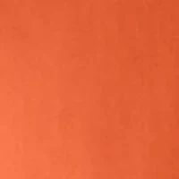 Rust Orange Dress Shirt