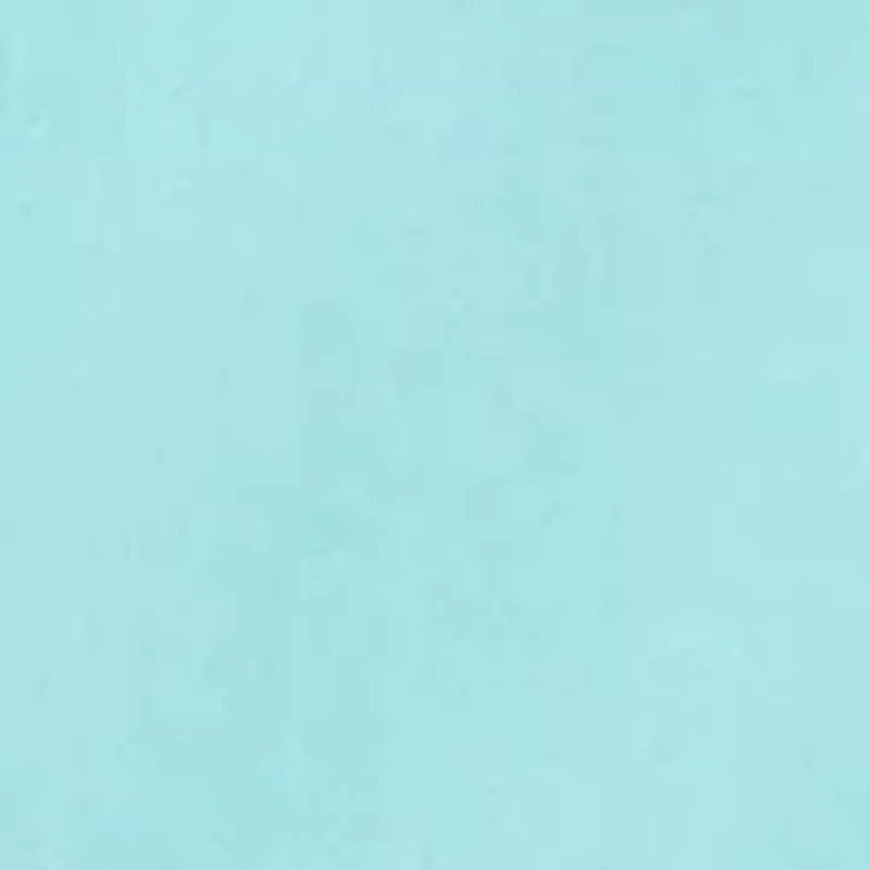 Men's Dress Shirt and Tie Set