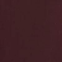 Big & Tall Shirt and Tie Set