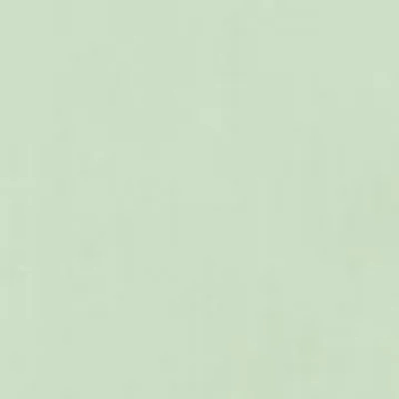 Men's Tall Button Down Shirt and Tie Set