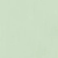 Men's Tall Button Down Shirt and Tie Set