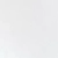 Woven Button Down Shirt and Tonal Tie Set