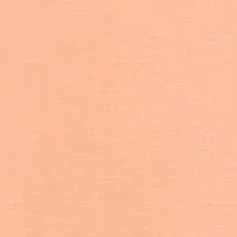 Big & Tall Solid Poplin Shirt