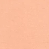 Big & Tall Solid Poplin Shirt